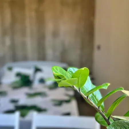 度假居 Vrachokipos *